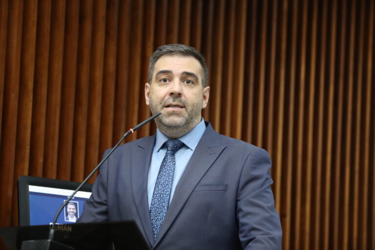 Leia mais sobre o artigo Deputado Denian Couto sai em defesa do consumidor em votação na Assembleia Legislativaia​
